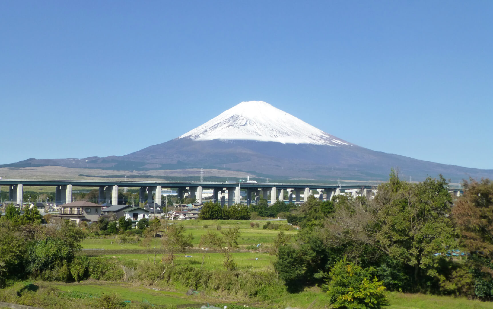 富士見台公園
