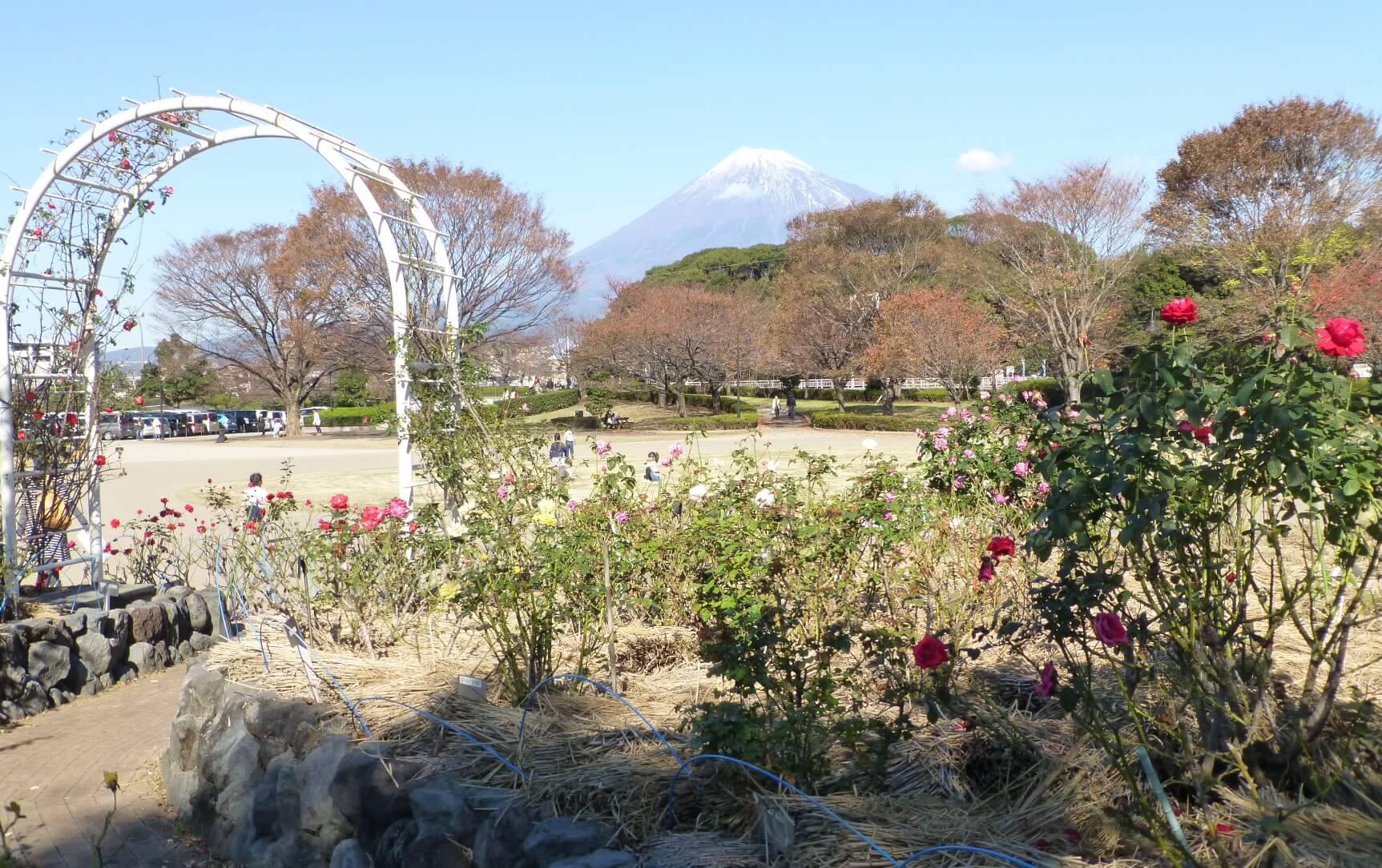 富士市中央公園 富士で 観る 富士山ぽ