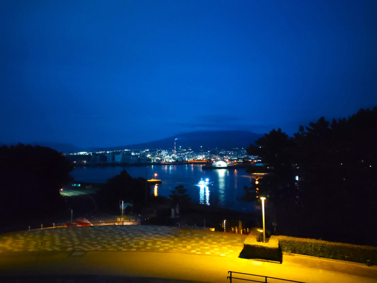 田子の浦港 夜景