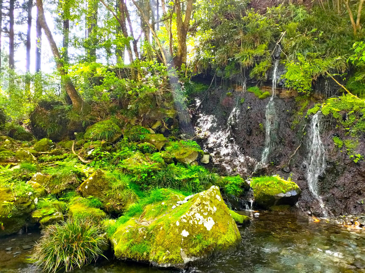 陣馬の滝 湧水