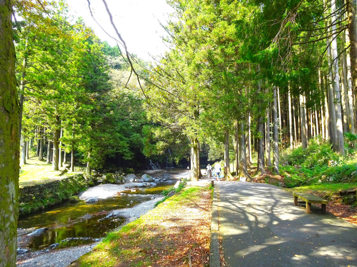 陣馬の滝 遊歩道