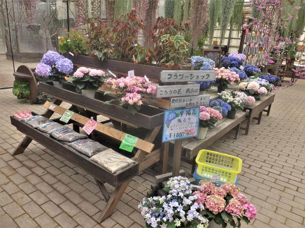 富士花鳥園 お花の販売