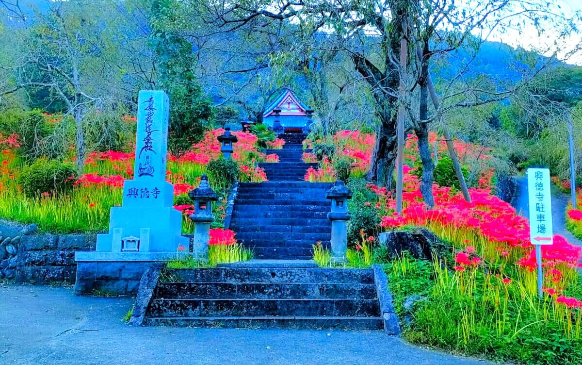 日蓮宗 大日蓮華山 興徳寺