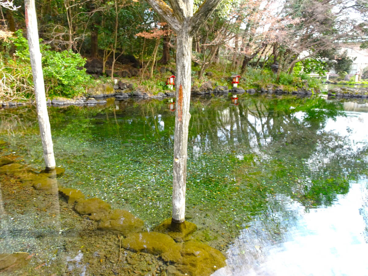 湧玉池