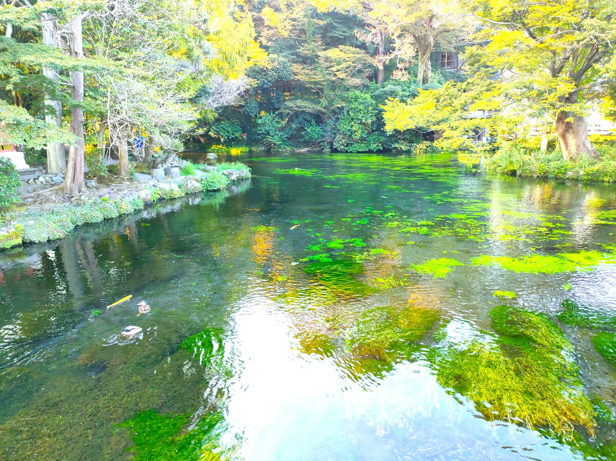 湧玉池