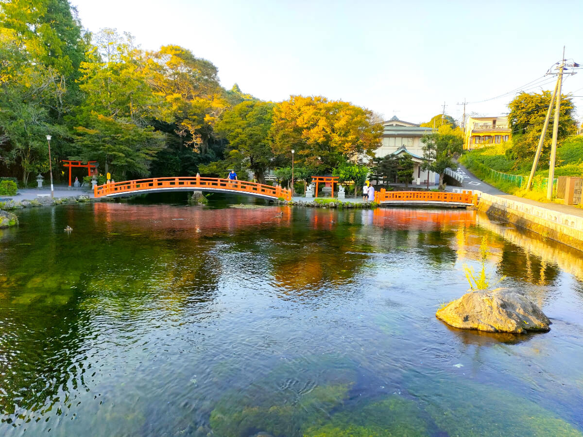 湧玉池と厳島神社