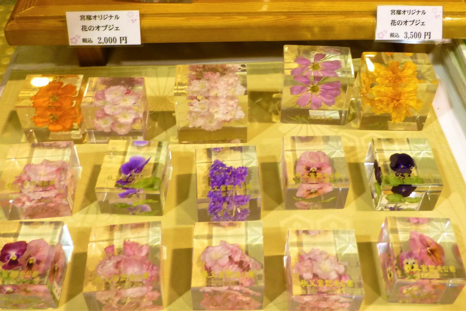 秩父宮記念公園 公園で実際に咲いた花をアクリル樹脂の中に閉じ込めた置物