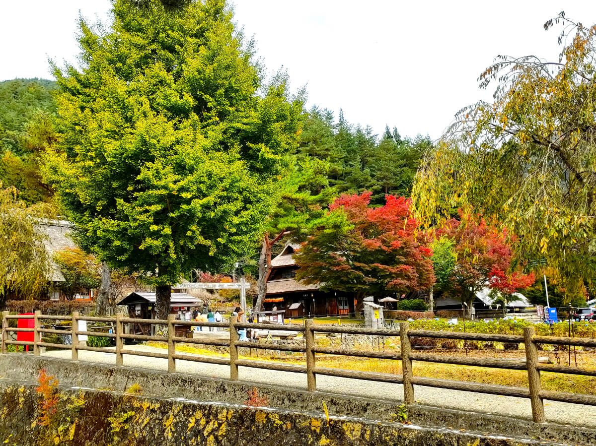 西湖いやしの里根場