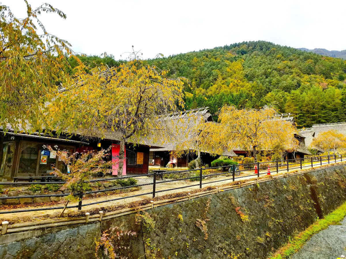 西湖いやしの里根場