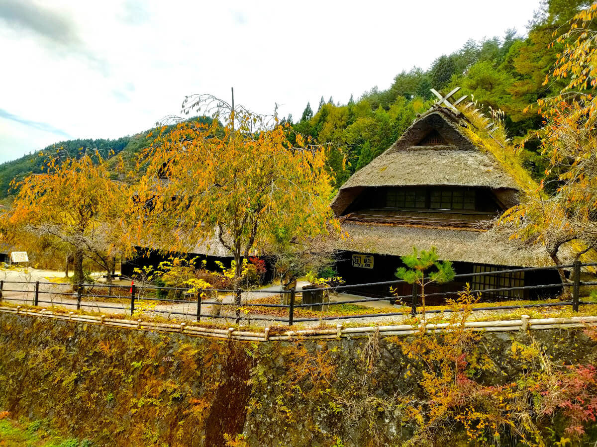 西湖いやしの里根場