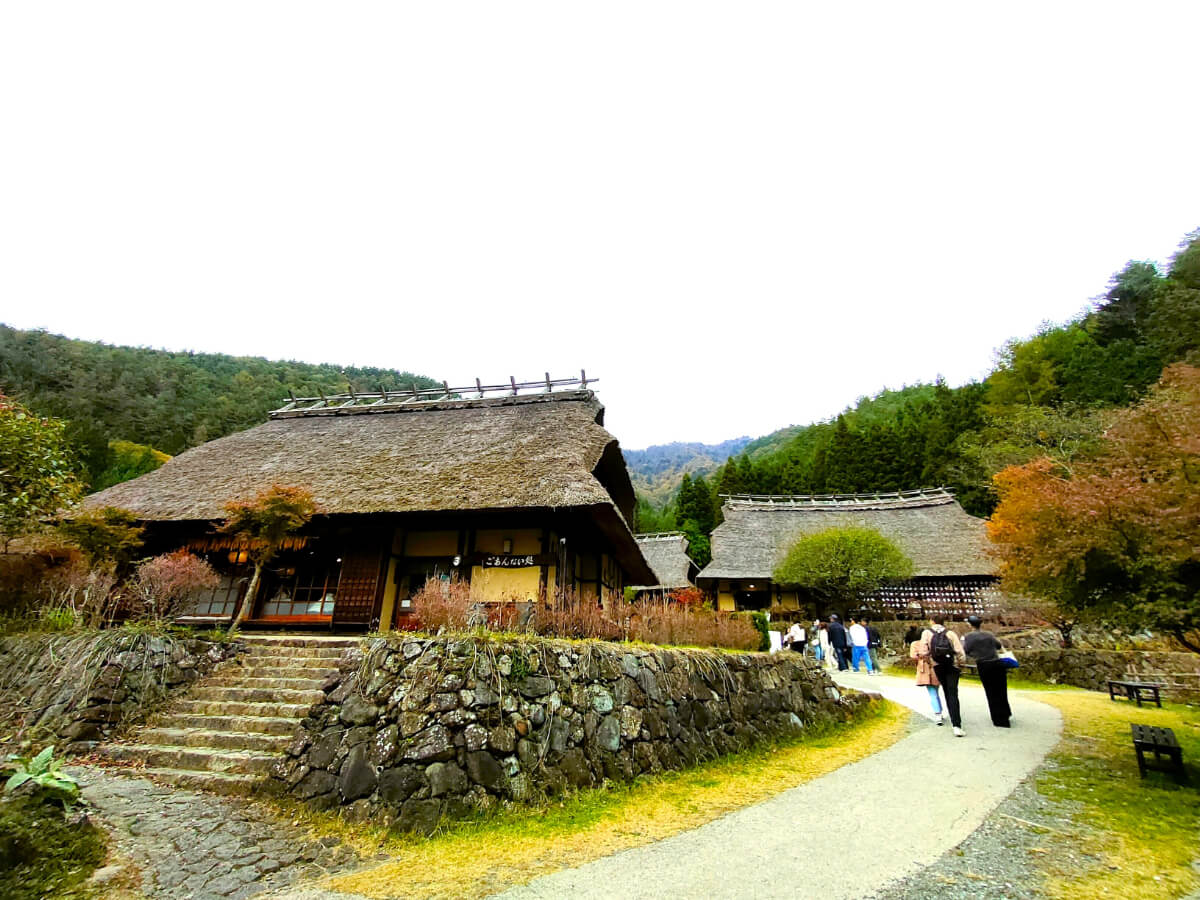 園内の様子