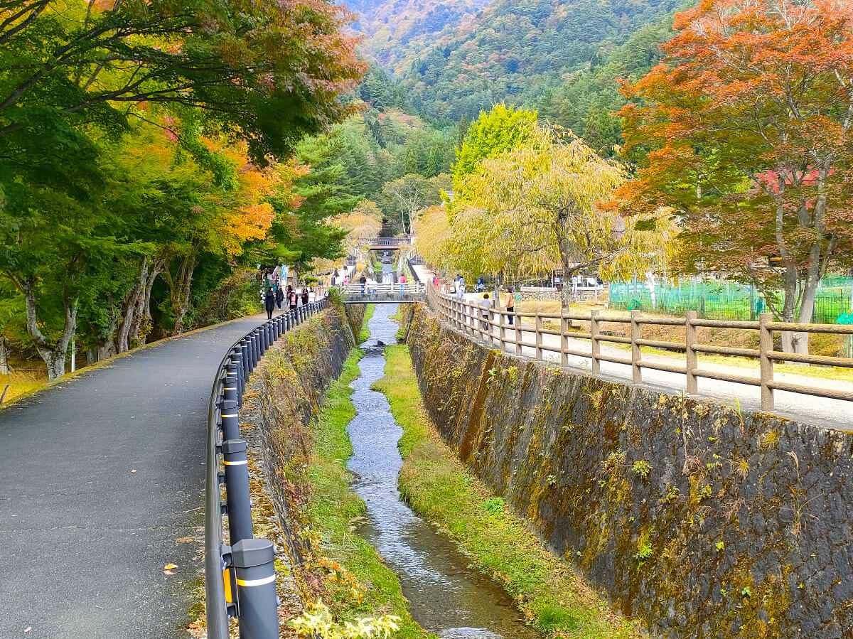 西湖いやしの里根場 本沢川