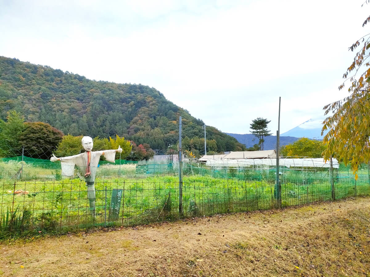 田園風景