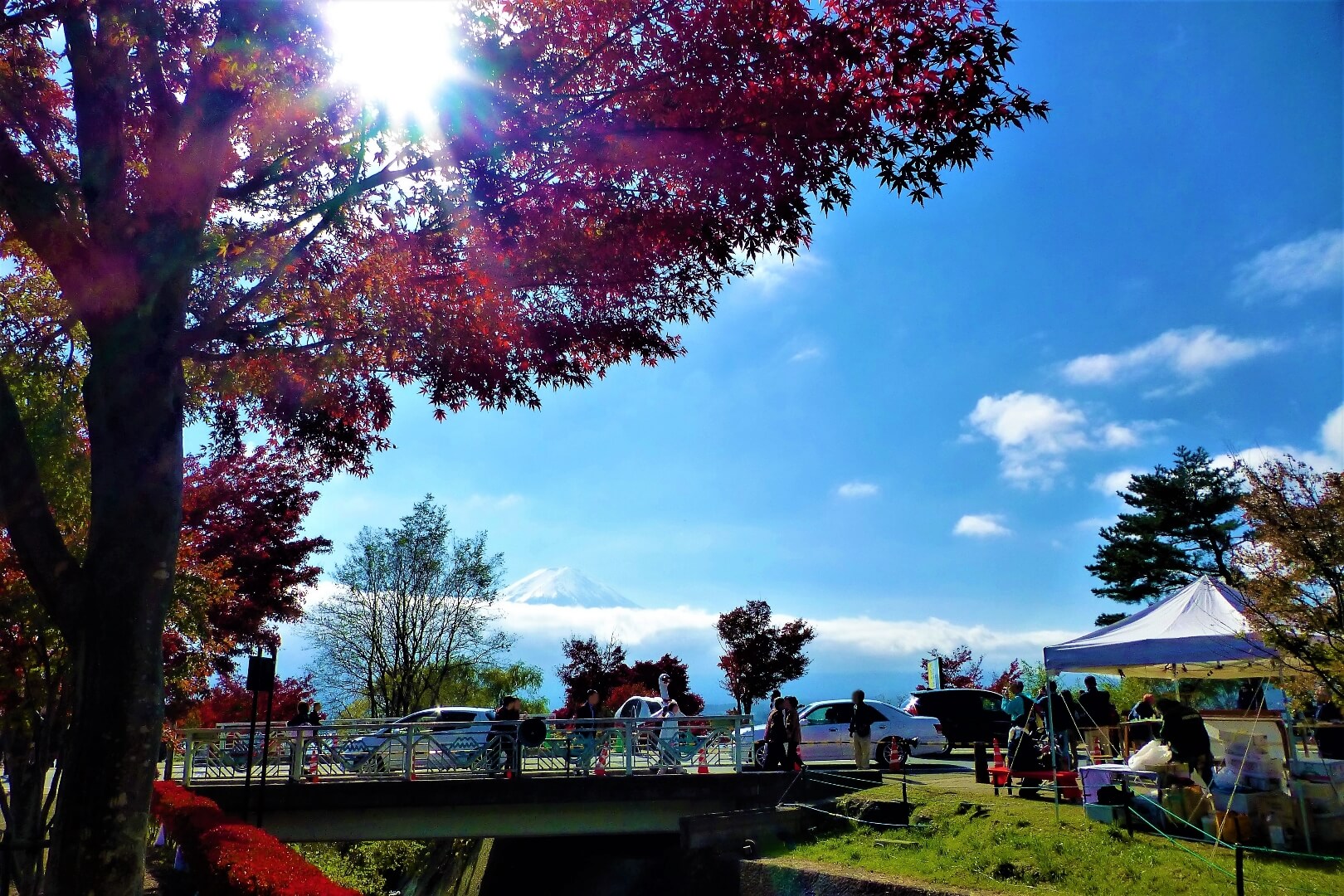 河口湖紅葉まつり 富士山と紅葉