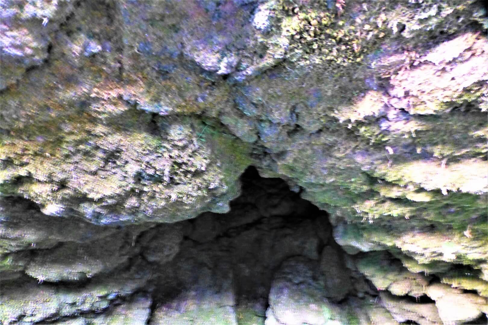 鮎壺の滝 溶岩樹型