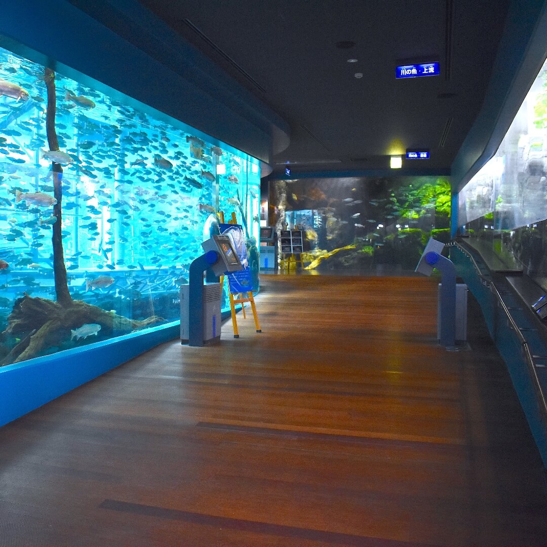 森の中の水族館。山梨県立富士湧水の里水族館