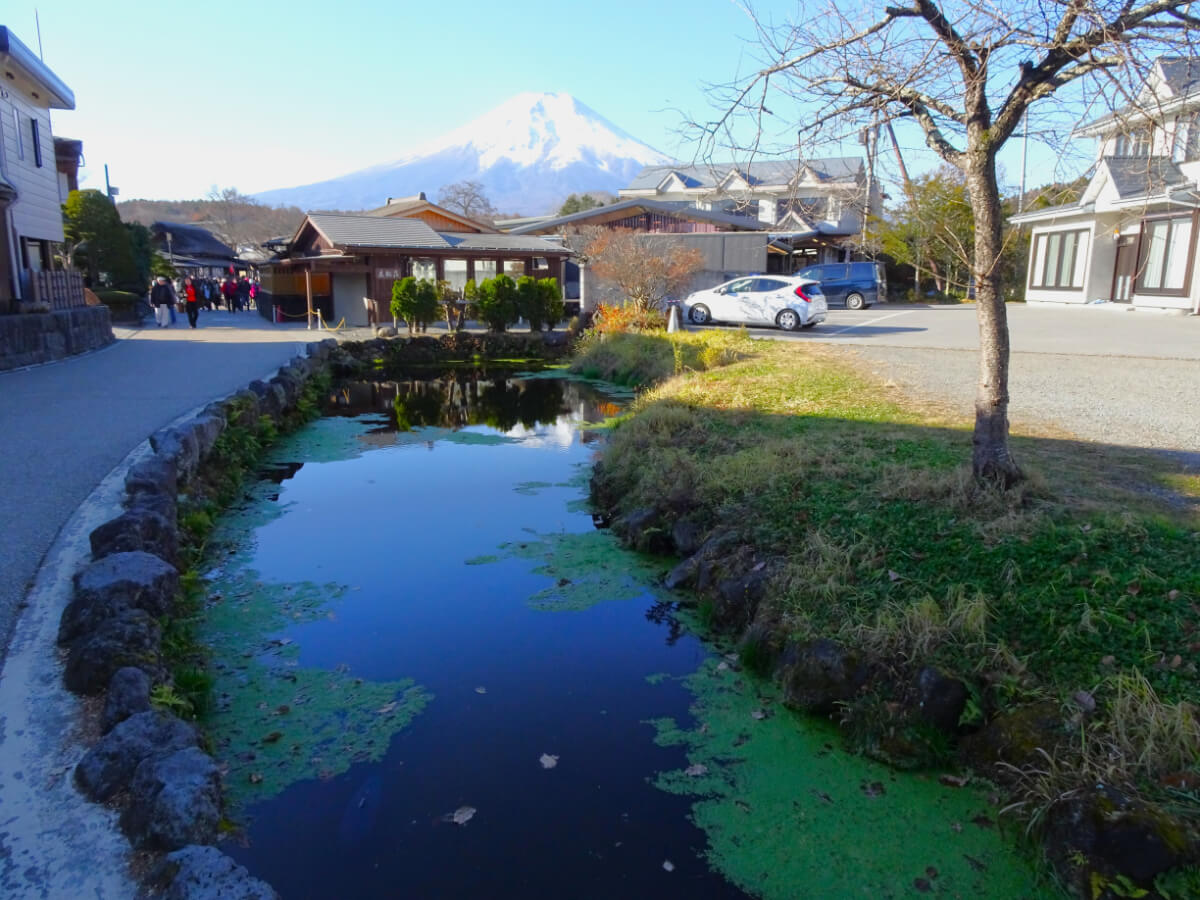 忍野八海/鏡池