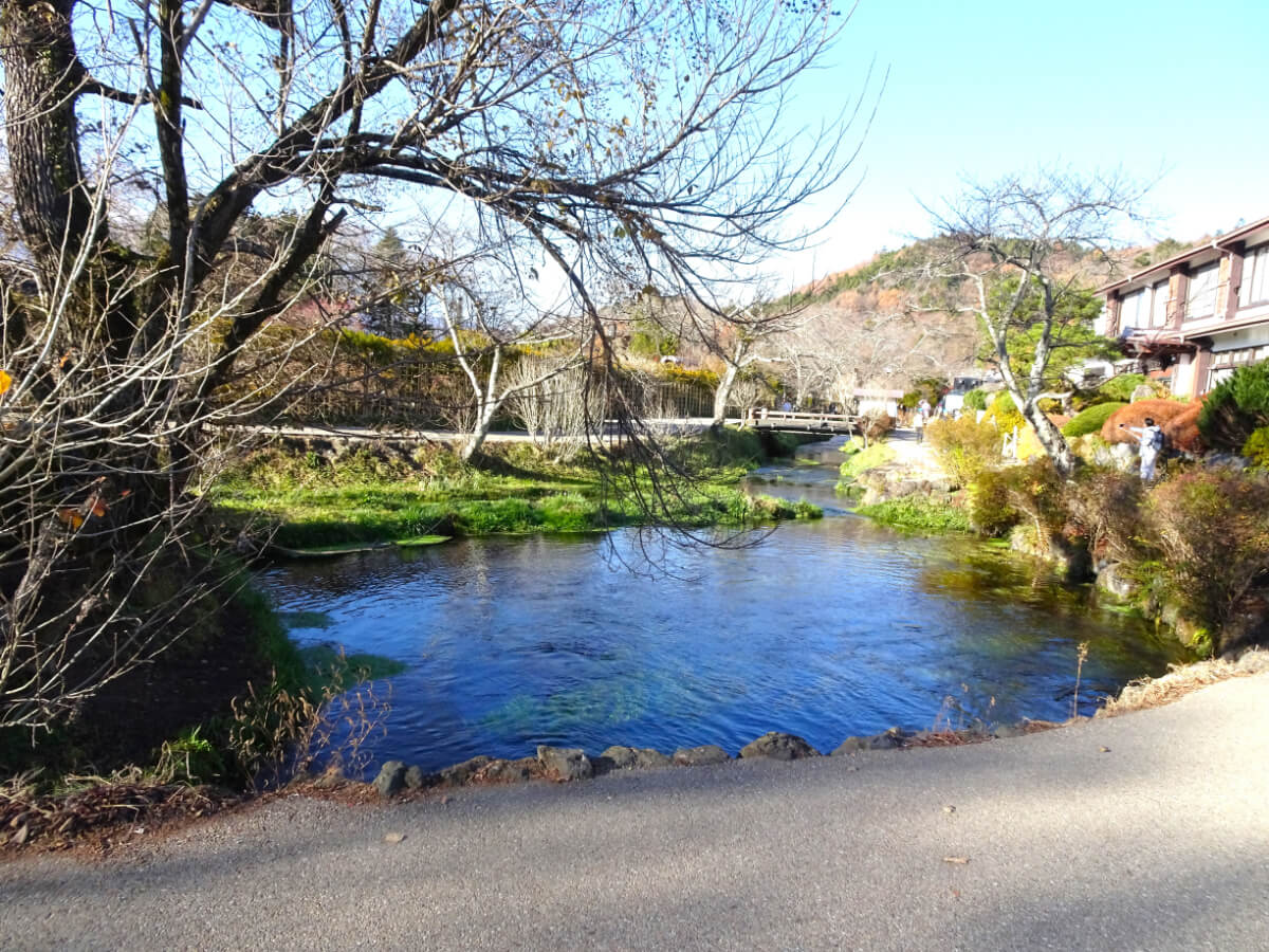 忍野八海/濁池