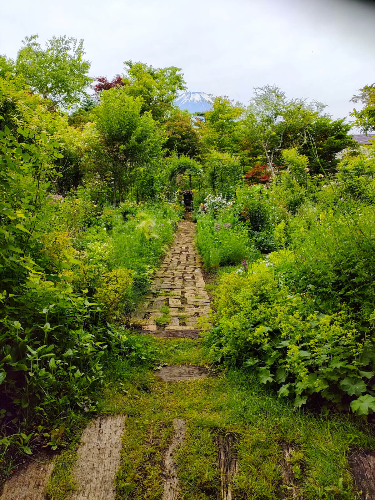 MF GARDEN（塚原邸）富士山