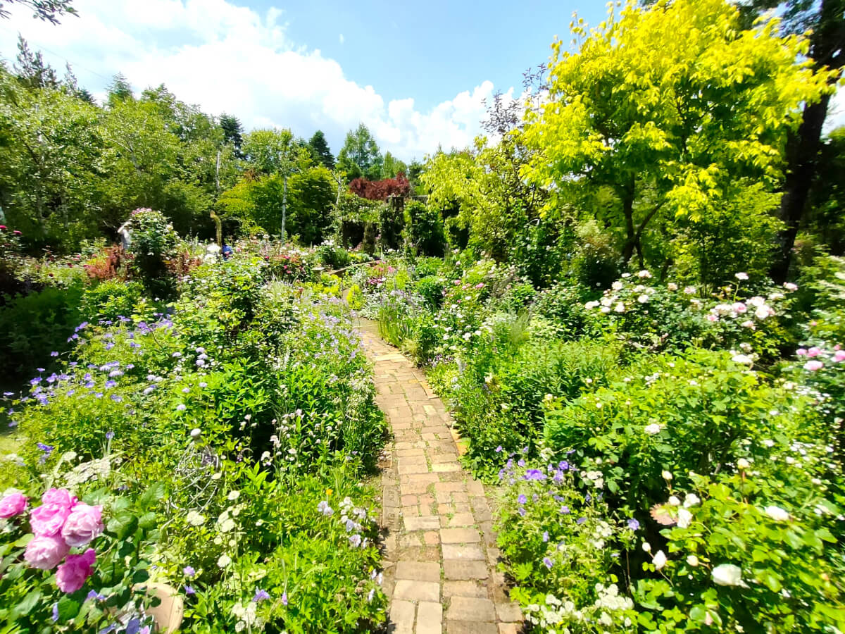 MF GARDEN（塚原邸）ナチュラルガーデン