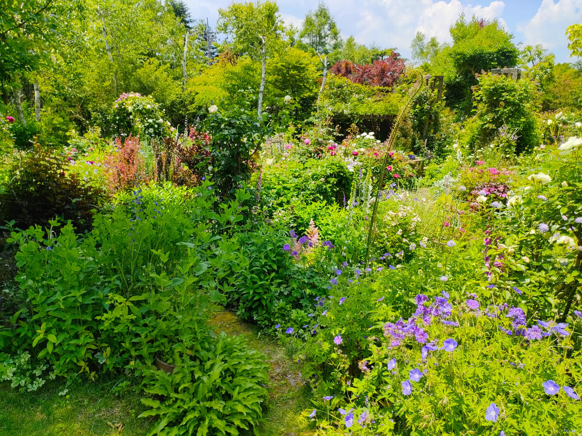 MF GARDEN（塚原邸）