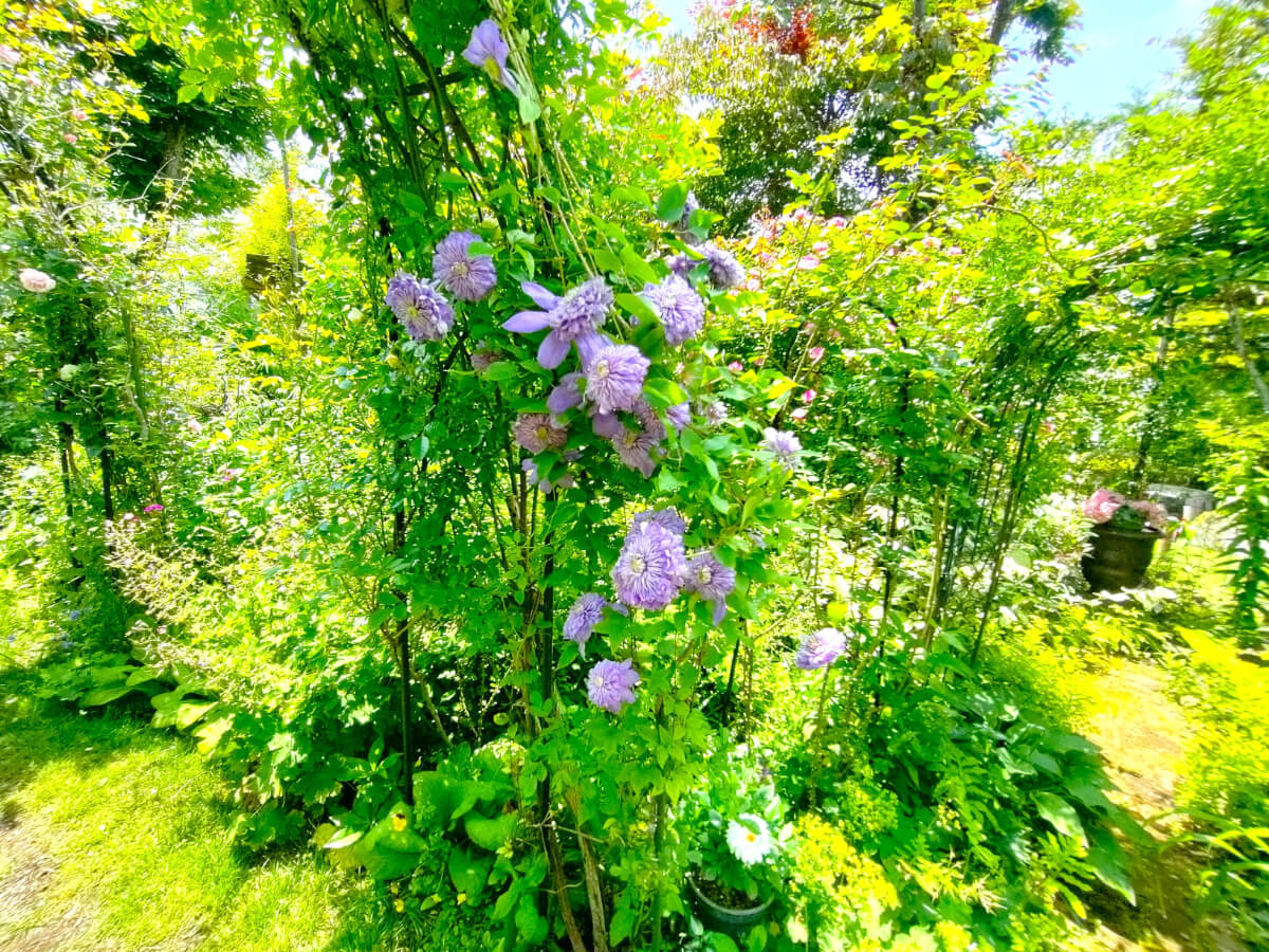 MF GARDEN（塚原邸）/写真13