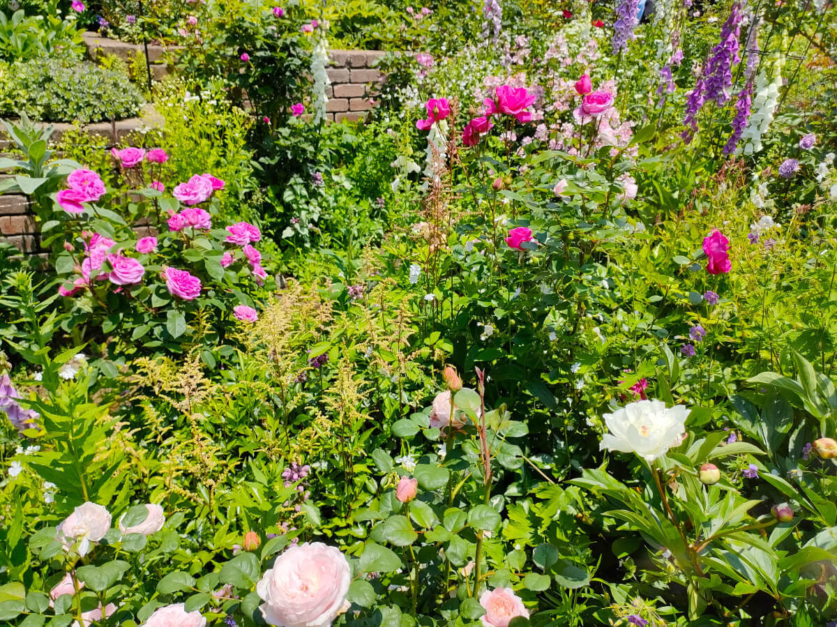 MF GARDEN（塚原邸）/写真25