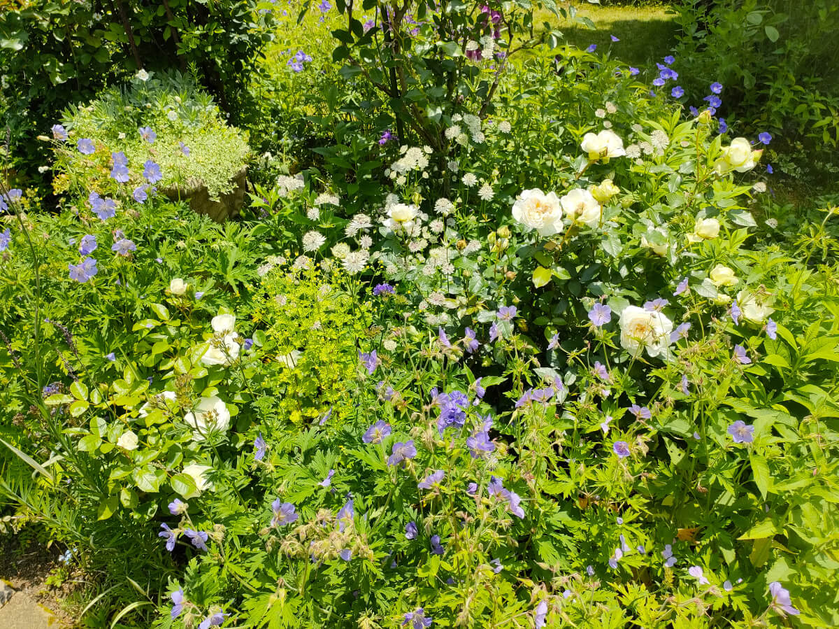 MF GARDEN（塚原邸）/写真7