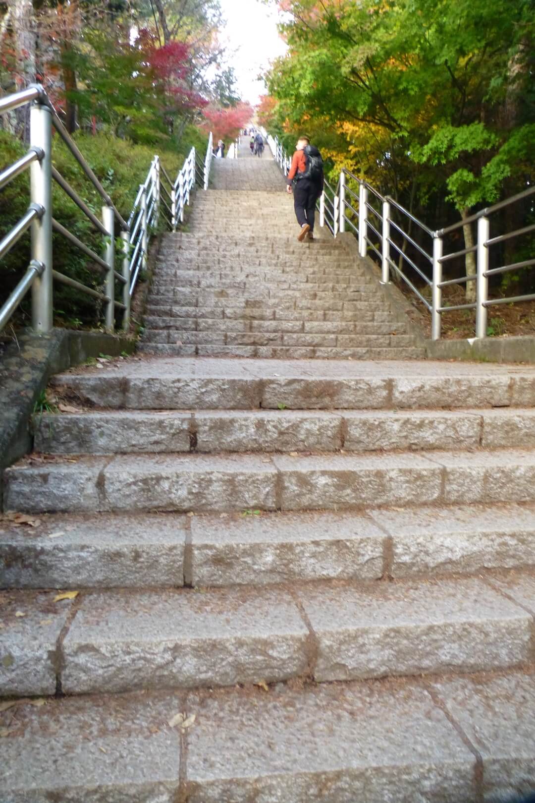 新倉山浅間公園 さくや階段