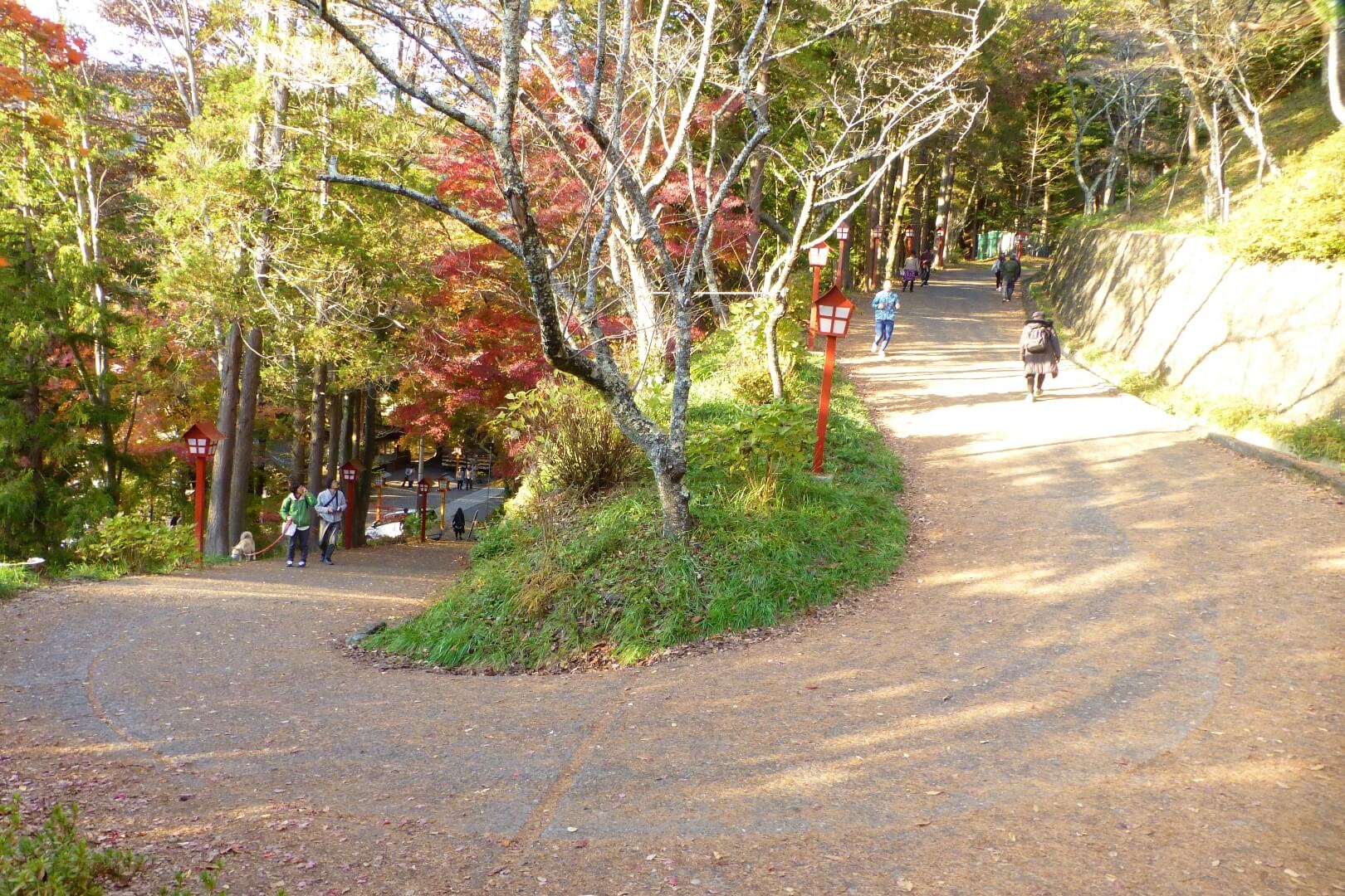 新倉山浅間公園 坂道