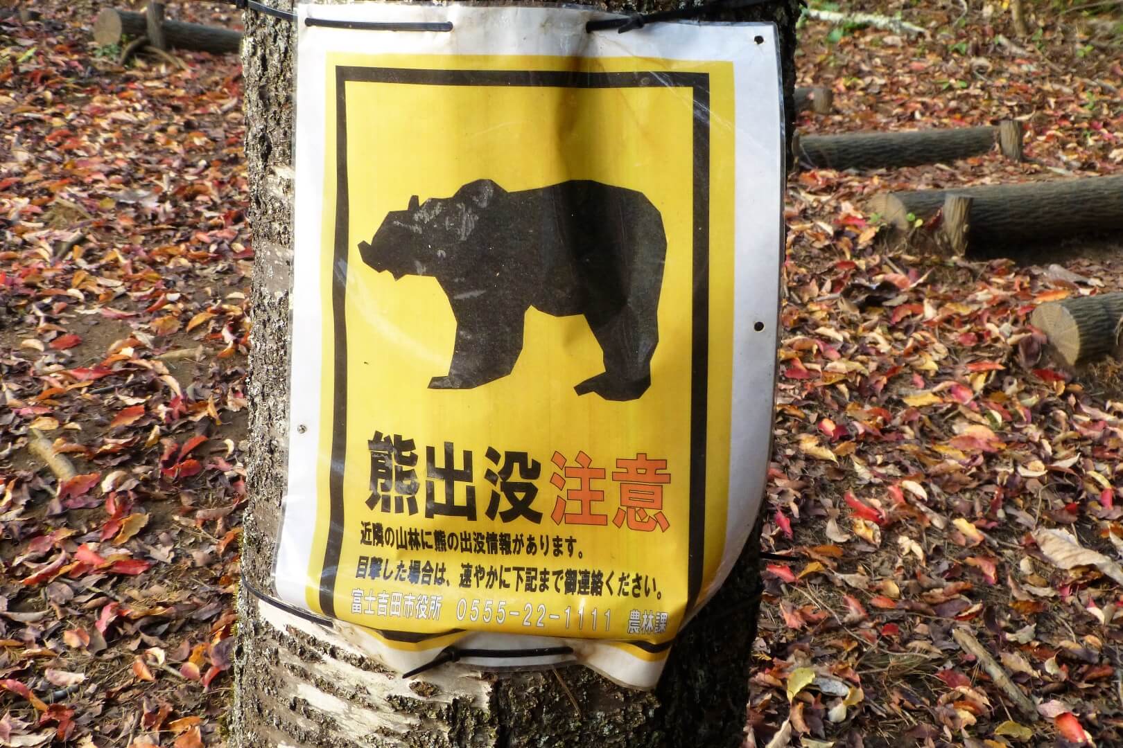 新倉山浅間公園 「熊出没注意」の貼紙