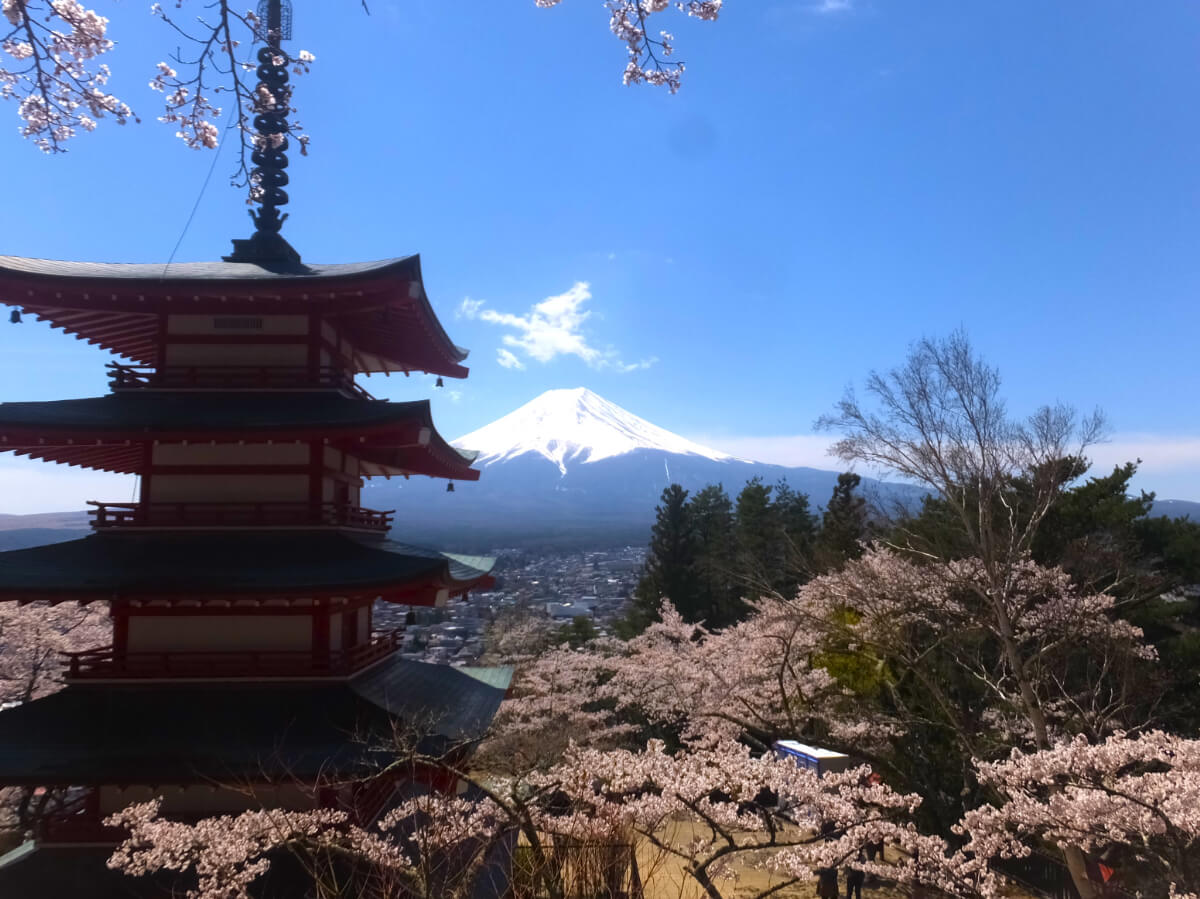 新倉山浅間公園/忠霊塔と富士山と桜