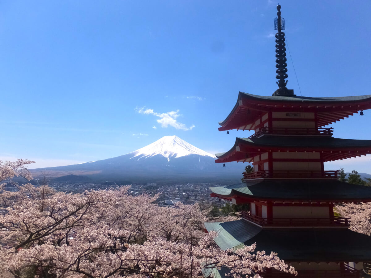 新倉山浅間公園/忠霊塔と富士山と桜