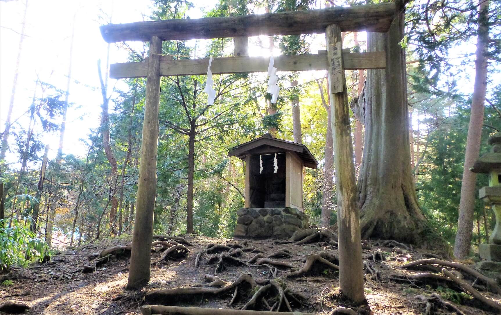 北口本宮冨士浅間神社 大塚丘の上にある鳥居と祠